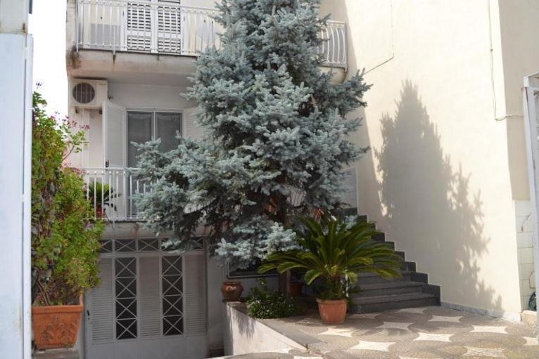 My Angels B&B Pompei Exterior photo